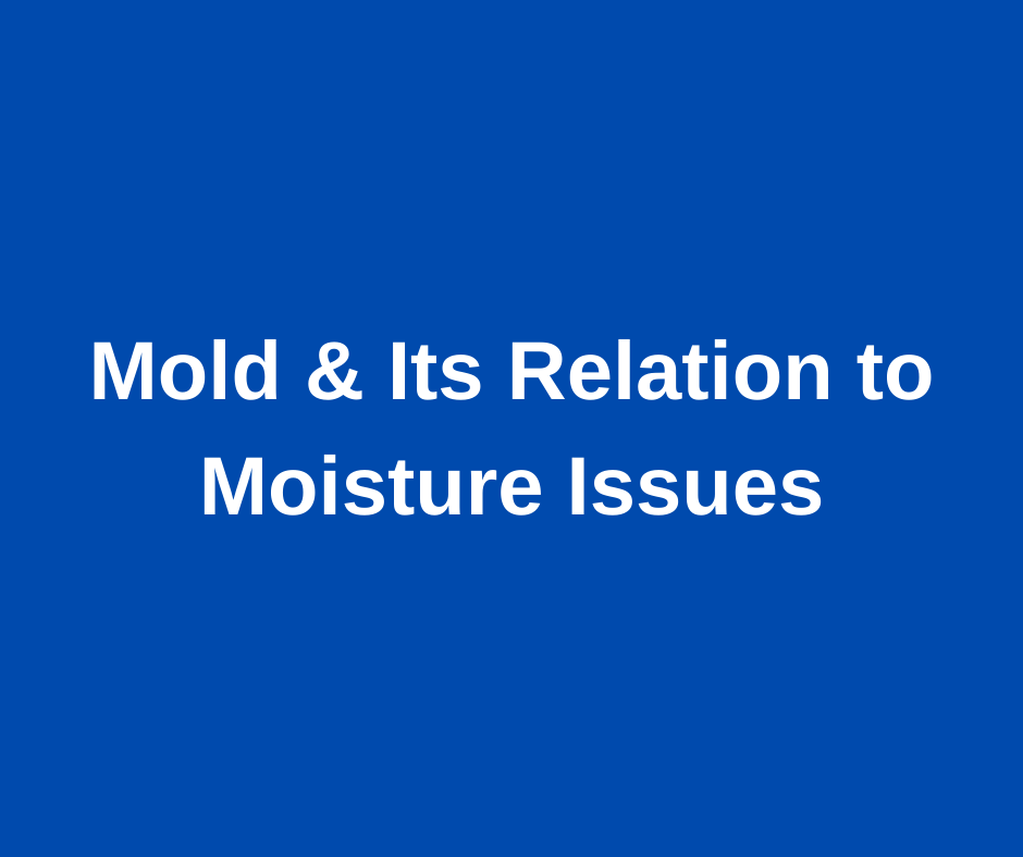 Mold & its relation to moisture issues banner