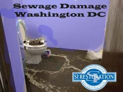 Washington DC Sewage Damage