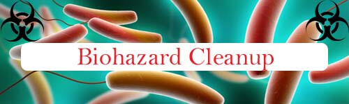 Biohazard Cleanup