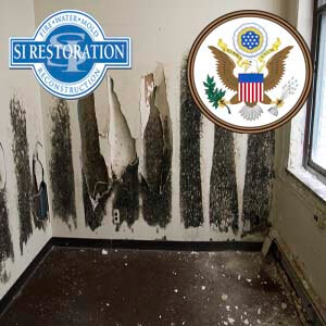 Federal Government Mold Removal