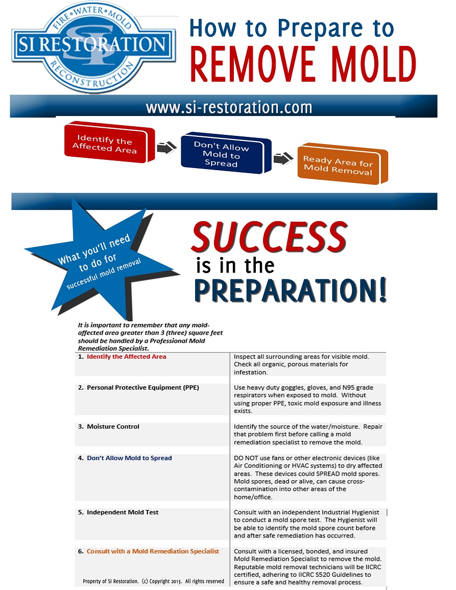 A Complete Guide To Identifying And Getting Rid Of Mold