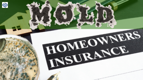 Mold and Insurance
