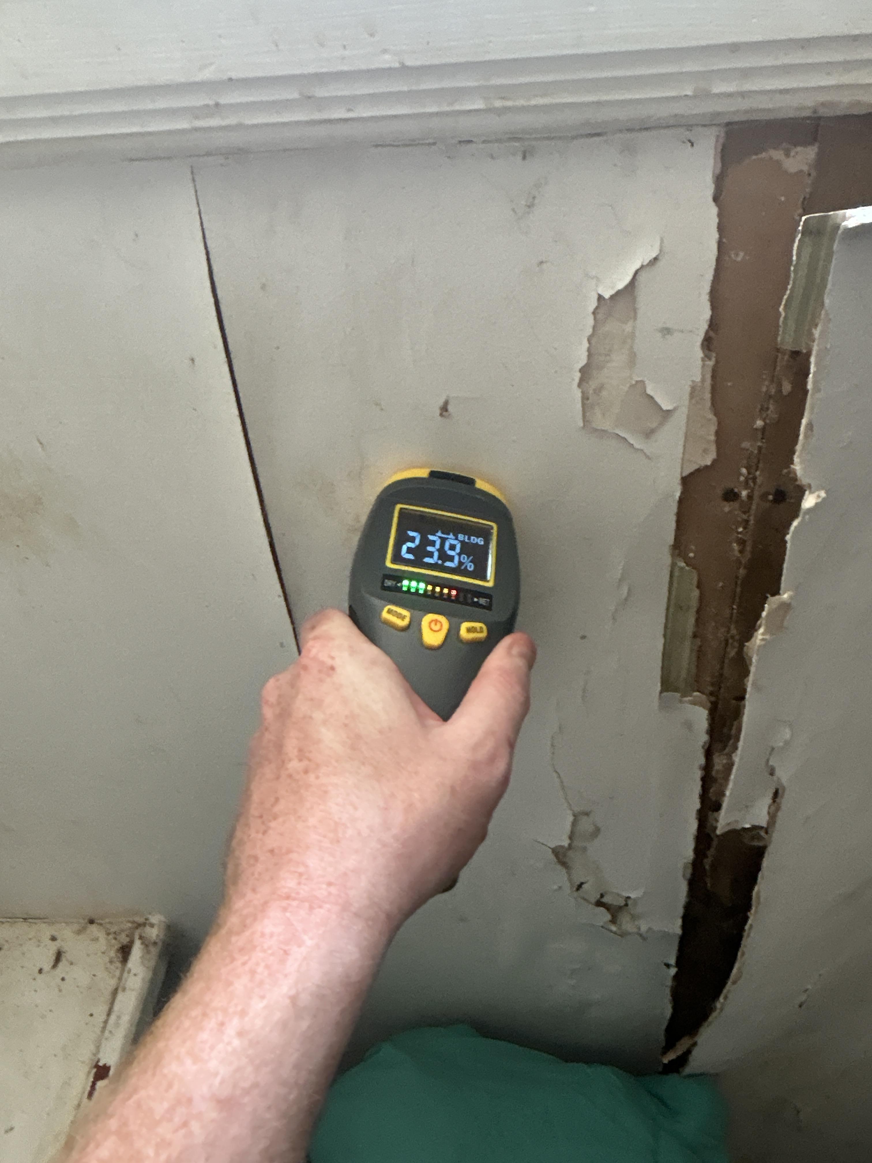 Mold removal Washington DC