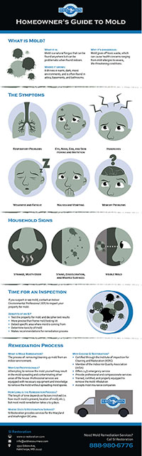 Mold Infographic