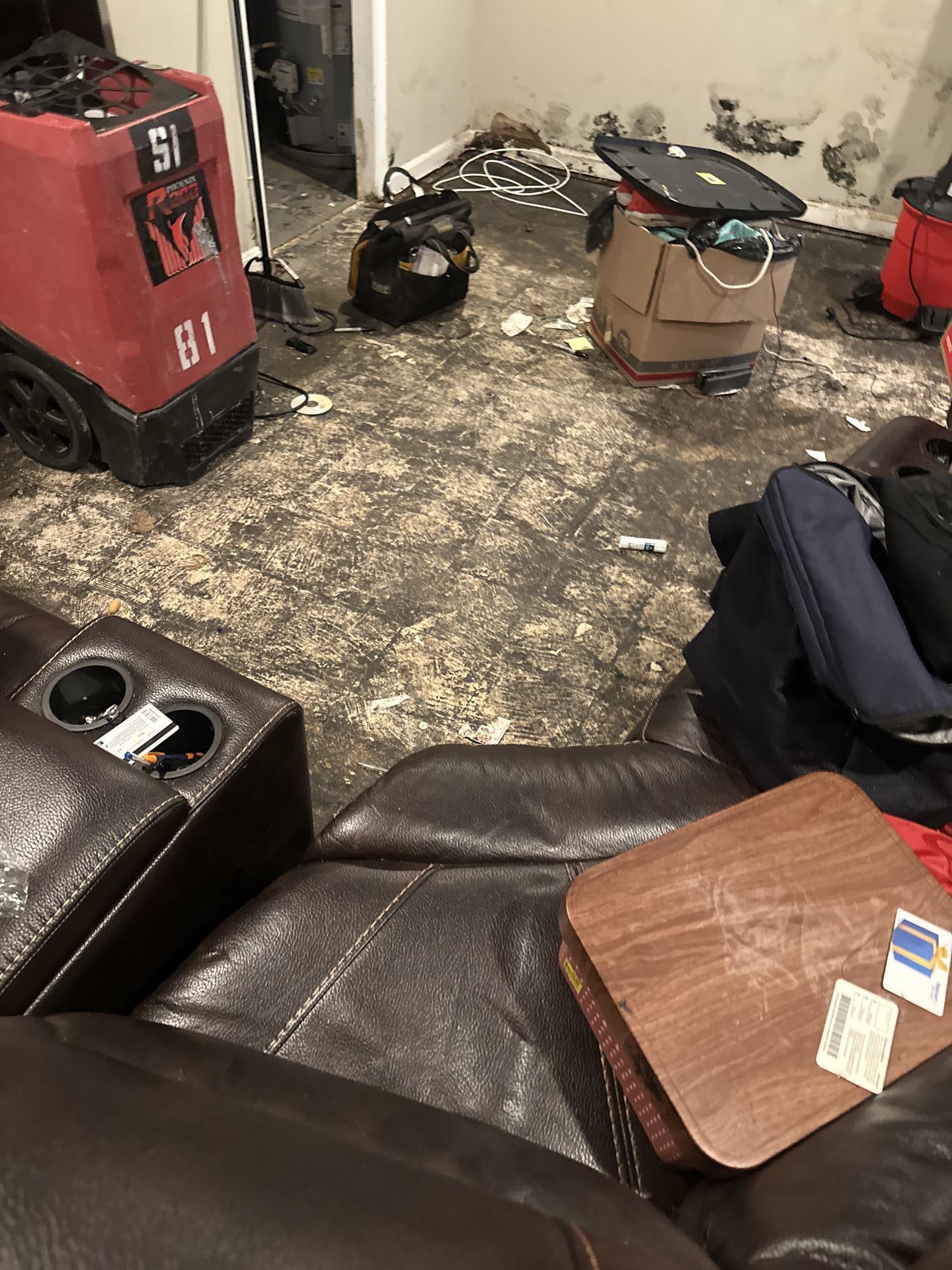 Washington DC Mold Removal 