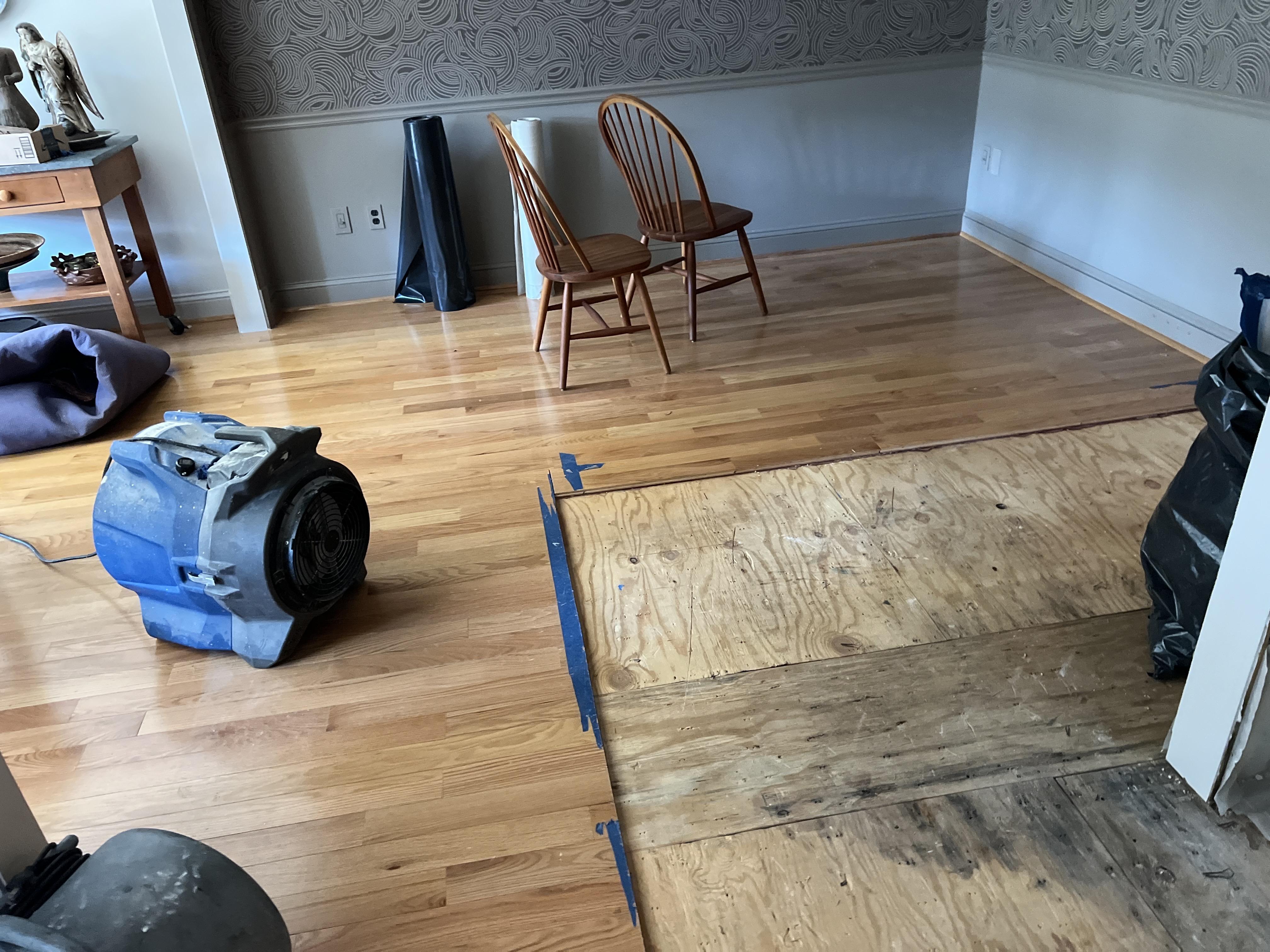 Water damage clean up 