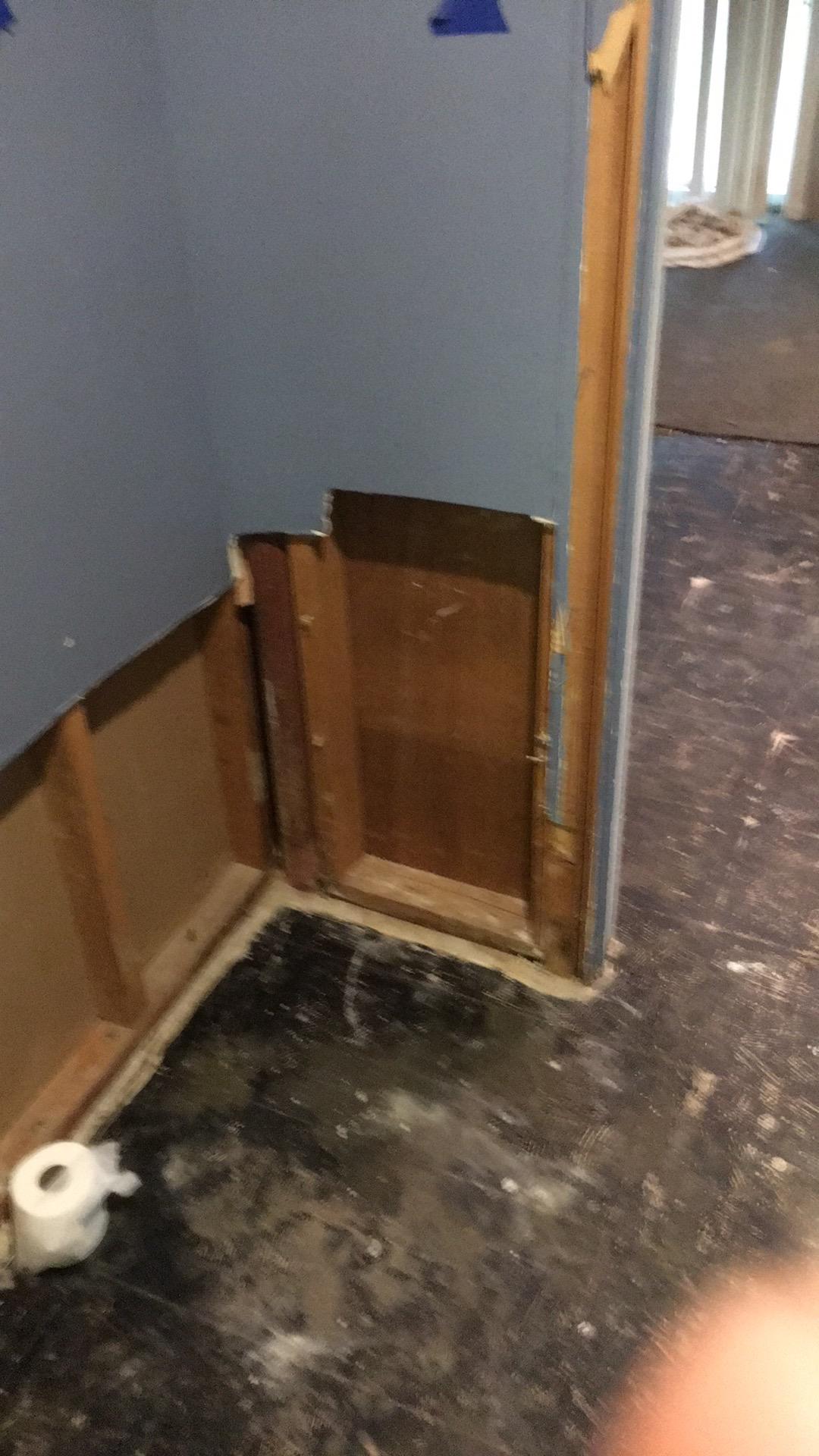 Washington DC mold remediation 