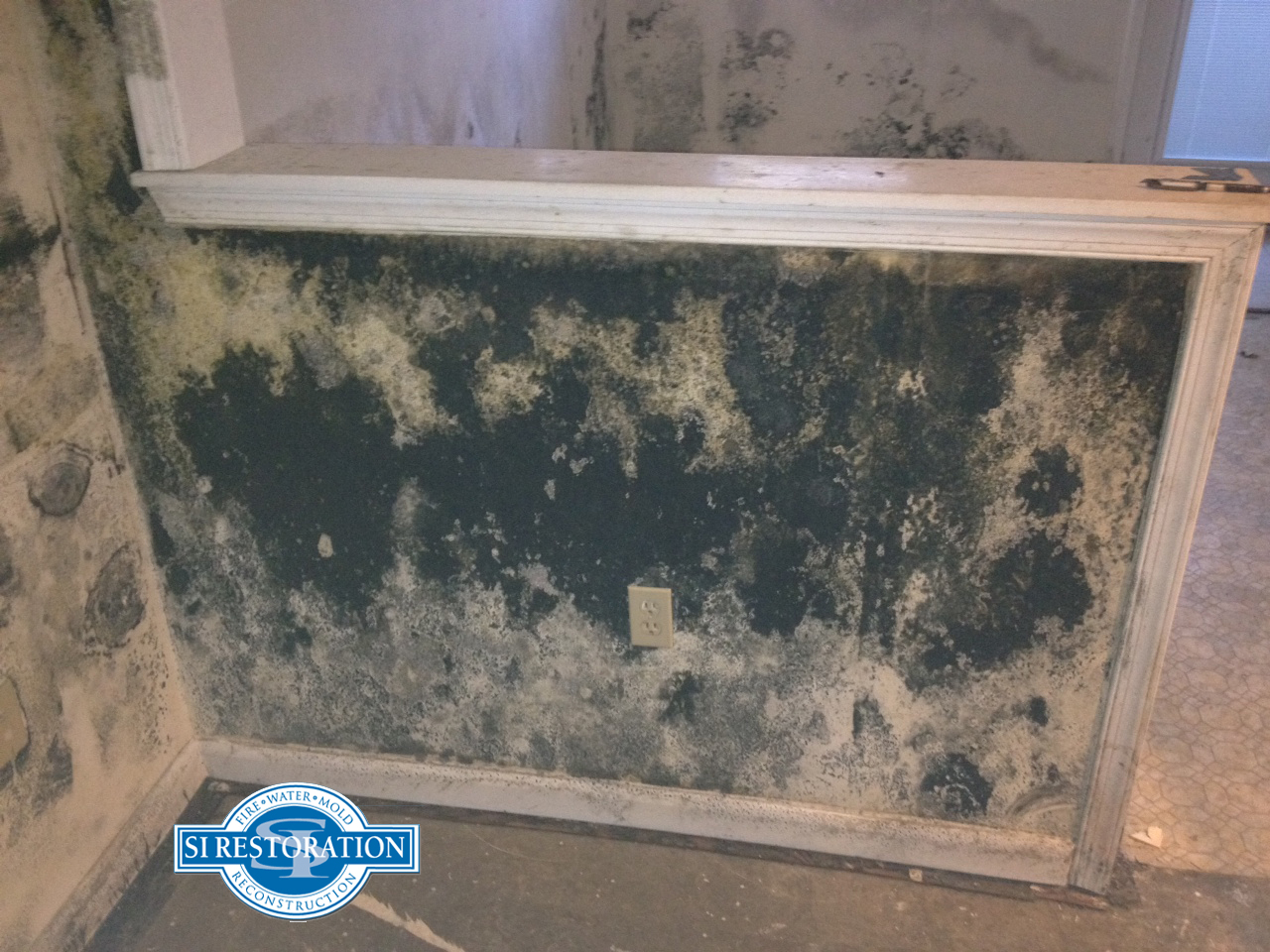 Mold on wall