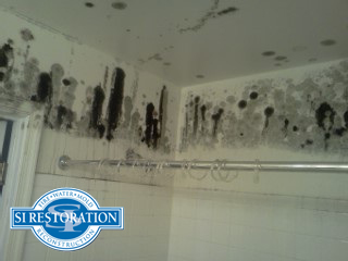 Bathroom Mold