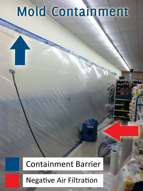 mold contained in sheeting