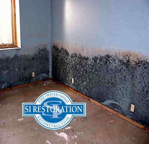 Mold Removal in maryland