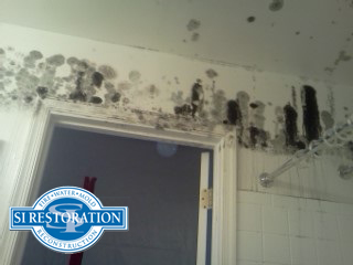 bathroom-mold-mildew