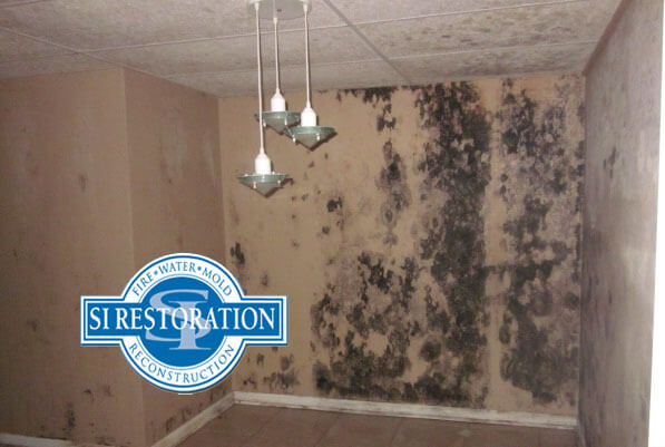 Baltimore Mold Removal | SI Restoration