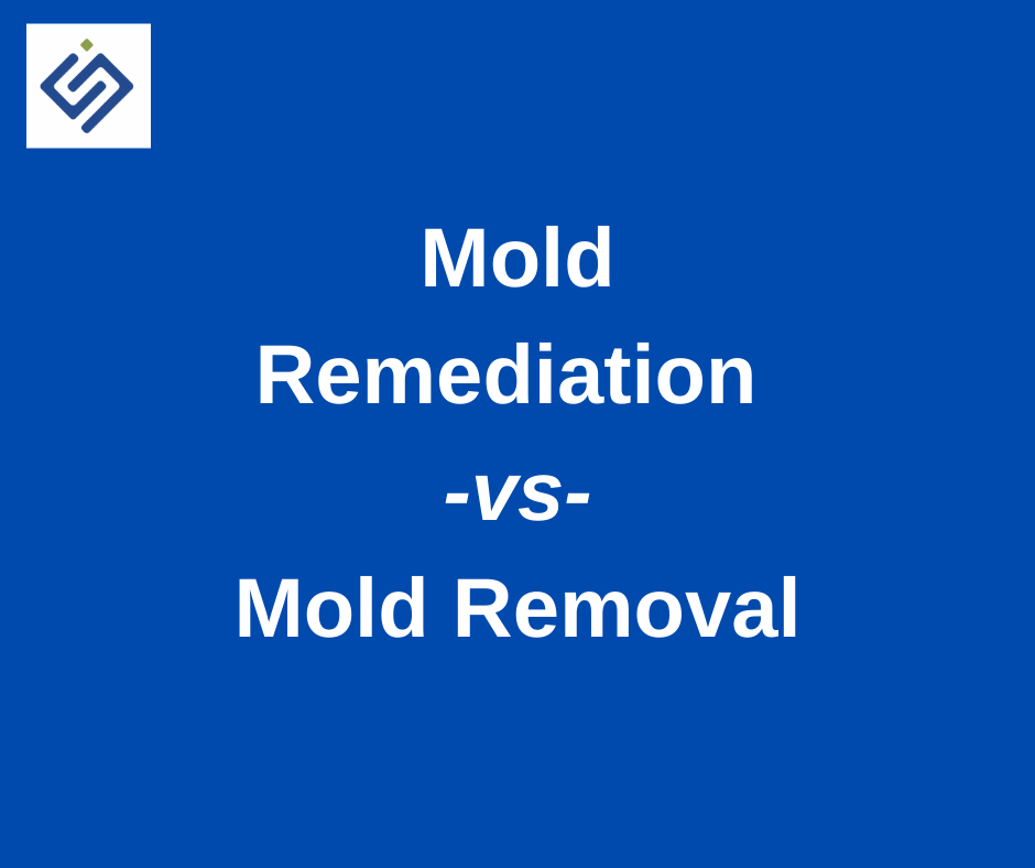 Mold remediation vs removal comparison