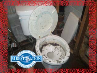 Sewage Damage Classifications