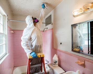 mold_remediation