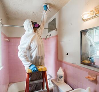 mold_remediation